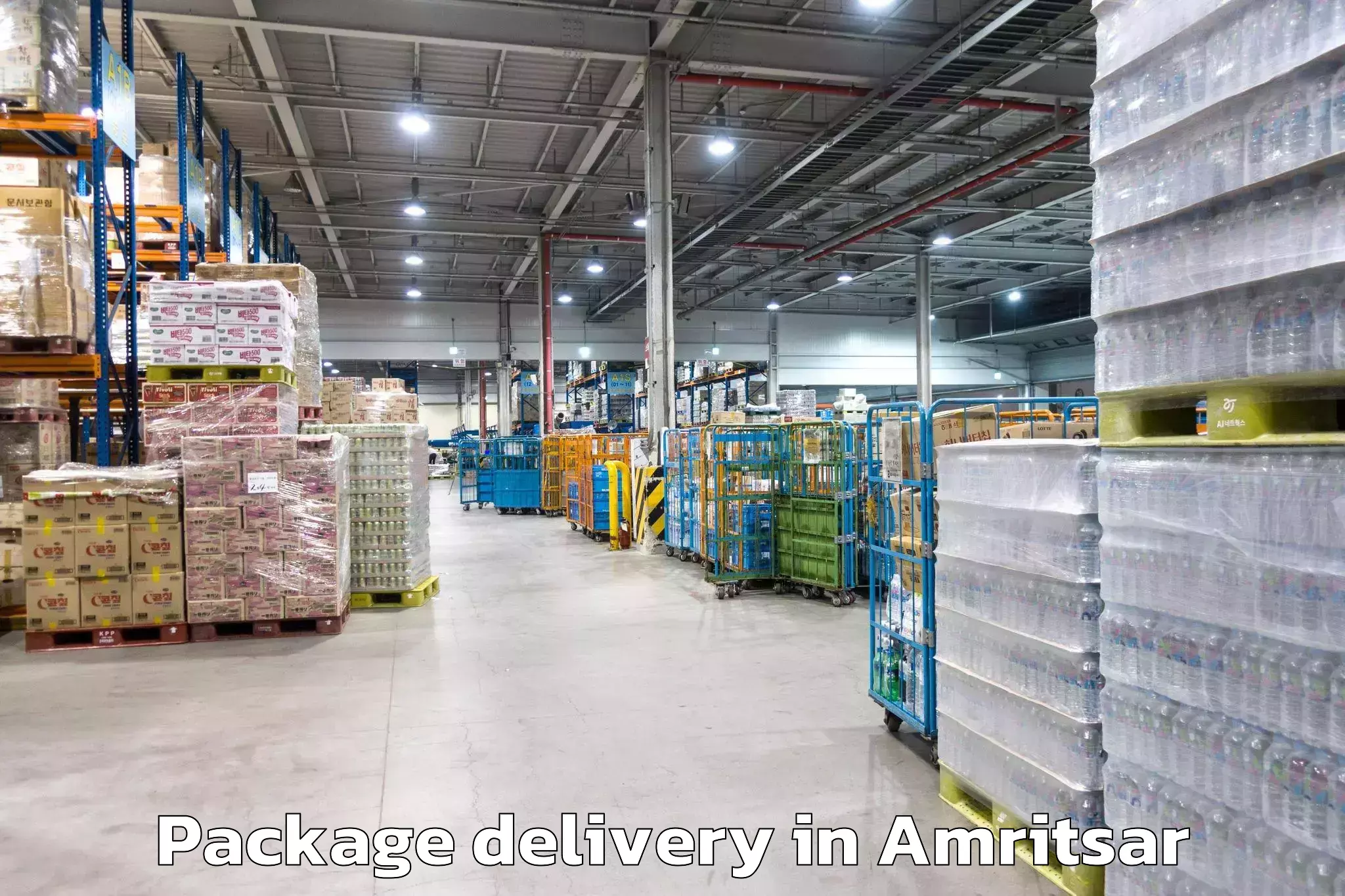 Quality Package Delivery in Amritsar, Punjab (PB)